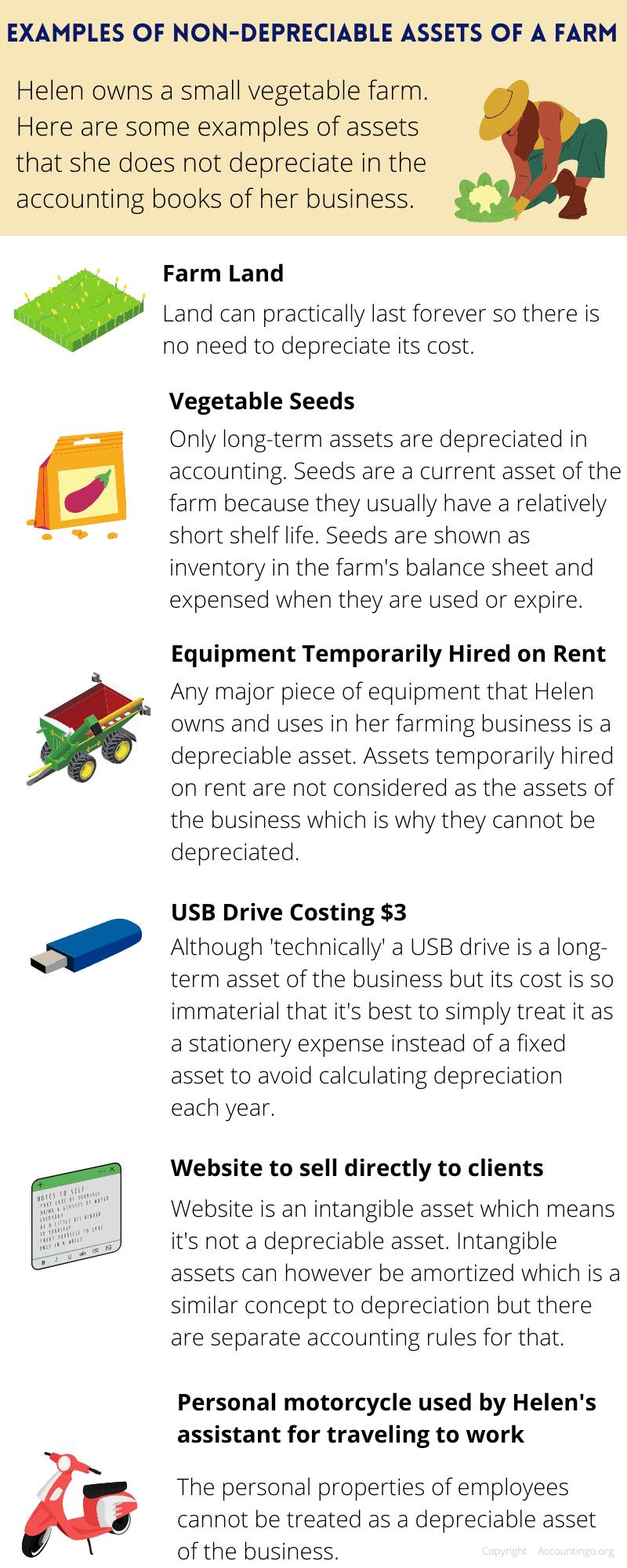 This infographic describes the examples of non-depreciable assets for a small vegetable farm